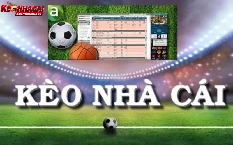 Tỷ Lệ Kèo Nhà Cái - KeoNhaCai 5 | Trực Tiếp Bóng Đá Hôm Nay 9 Giới thiệu về chuyên trang bóng đá Kèo nhà cái